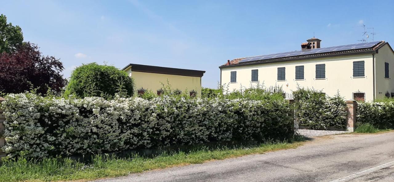 B&B Armonie Cotignola Luaran gambar